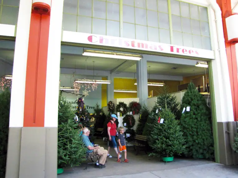 Picture of the entrance to the Christmas Tree area in the Agriculture Building at the Minnesota State Fair