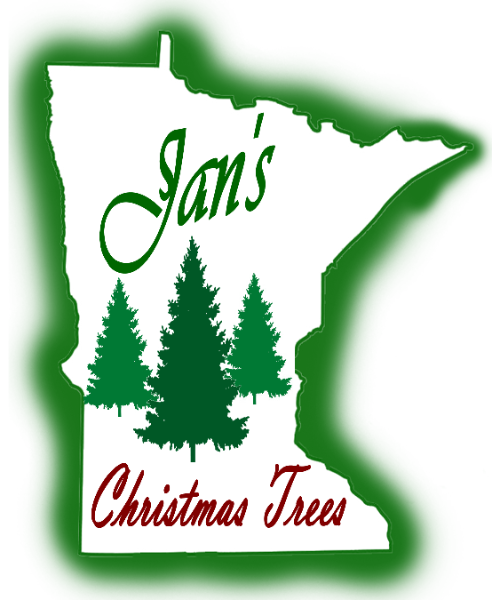 Sand Country & Jan's Christmas trees