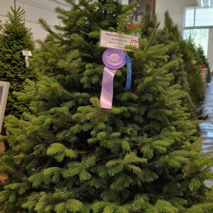 IMG_20230823_141227751_HDR