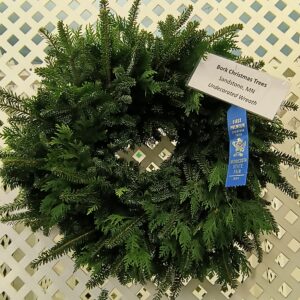 IMG_20240820_170810650