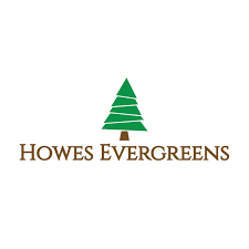 Howes Evergreens